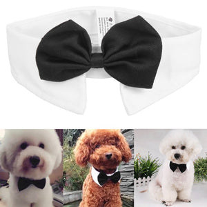 Christmas Holiday Pet Cat Dog Collar Bow Tie